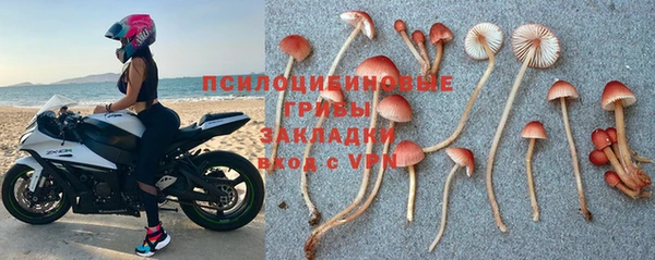 стаф Абинск