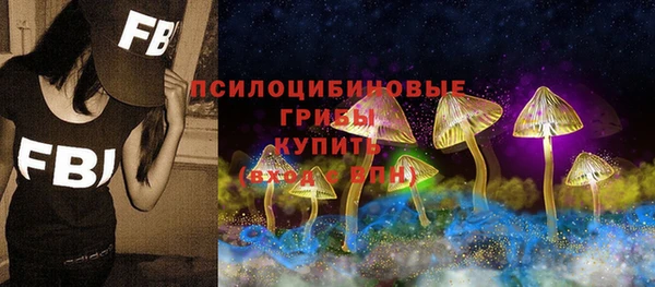 PSILOCYBIN Абдулино