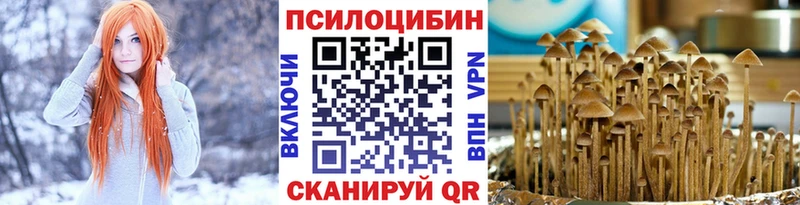 Псилоцибиновые грибы Cubensis  Карабаново 
